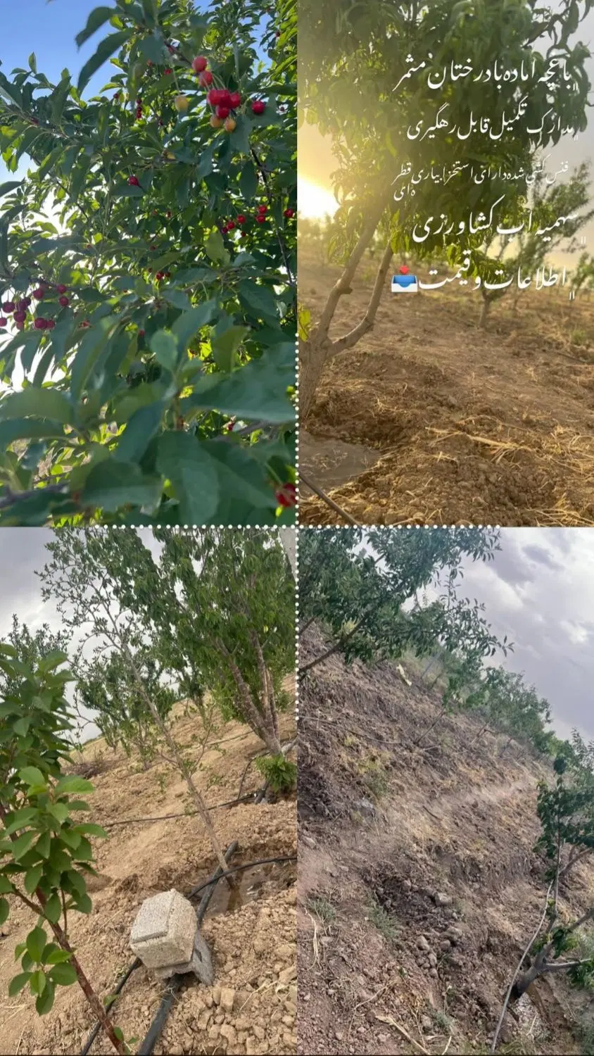 ۵۰۰متر باغچه جاده سهیلیه