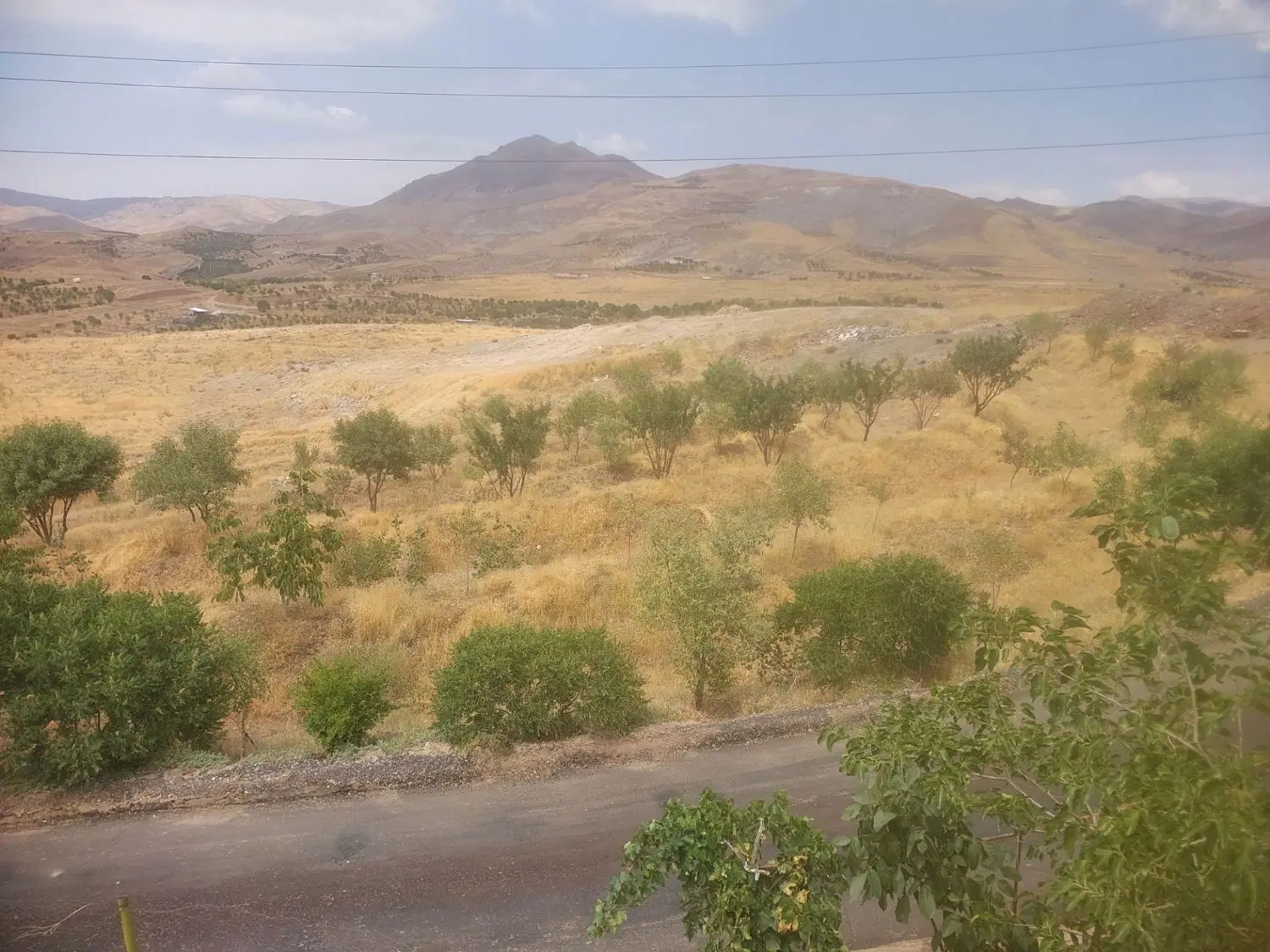 باغ در جاده نیاق