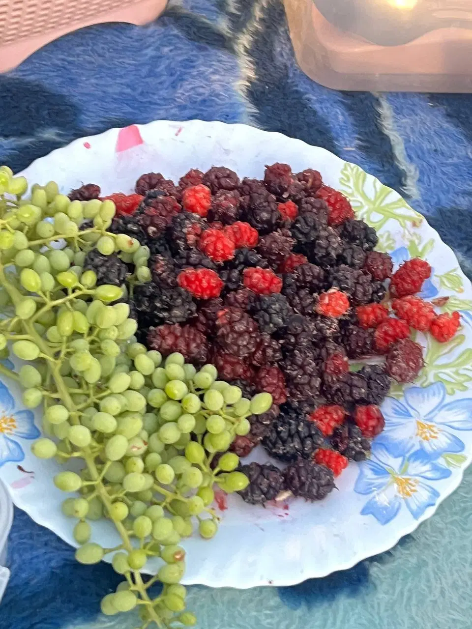 باغ هزار متری