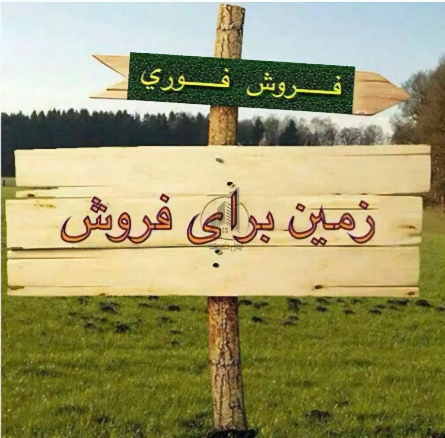 زمین جاذرتی  -محمودآباد