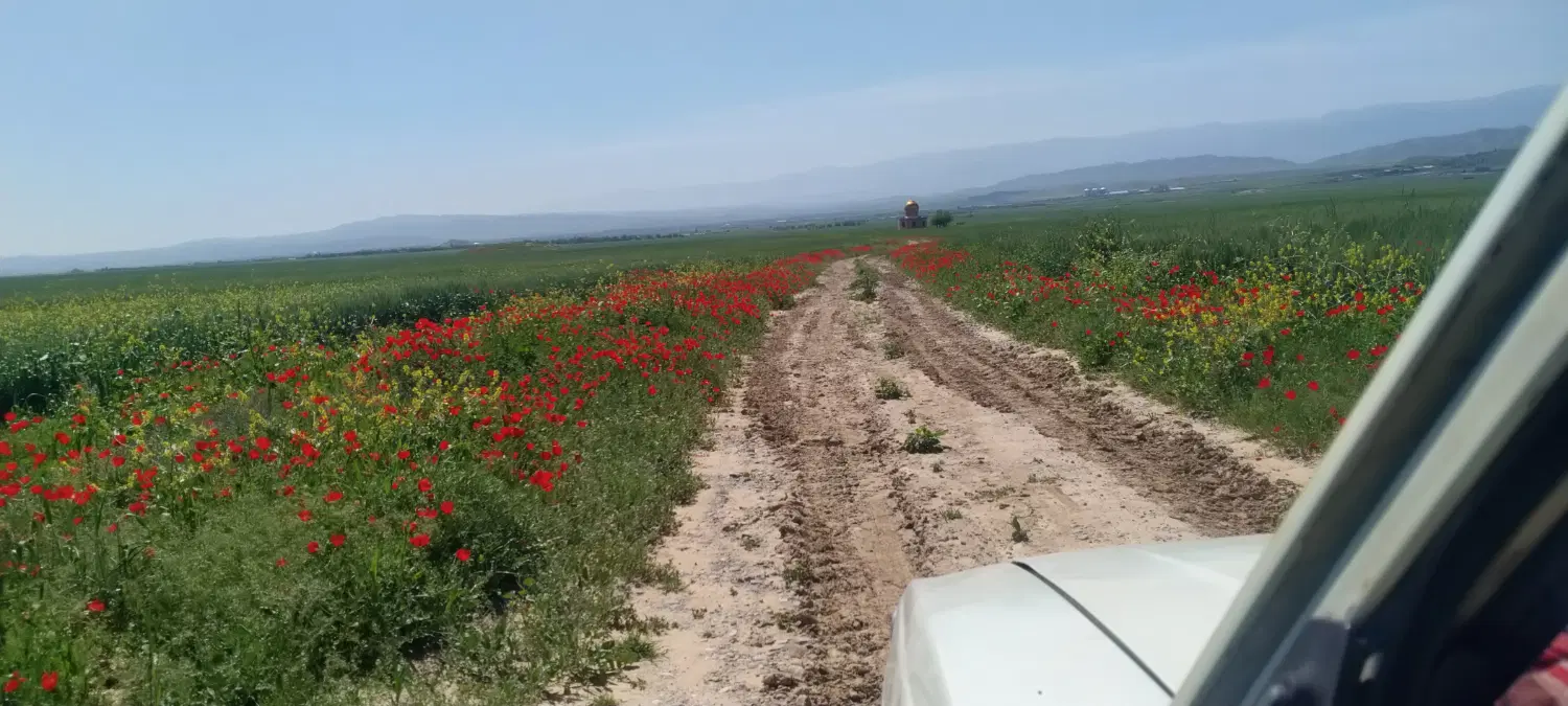 زمین محله ستاره شهر