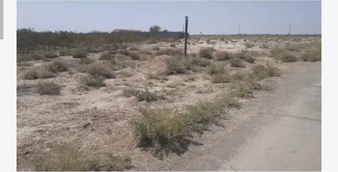 زمین کشاورزی