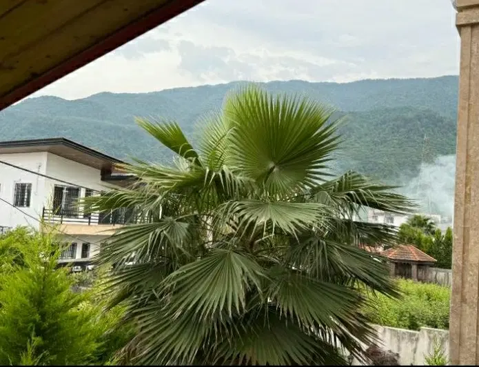 ۸۰ متر دو خواب