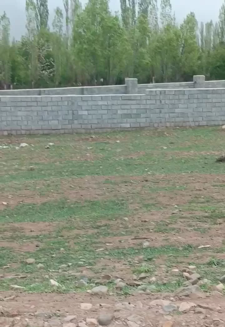 زمین فروشی کجور،انگیل