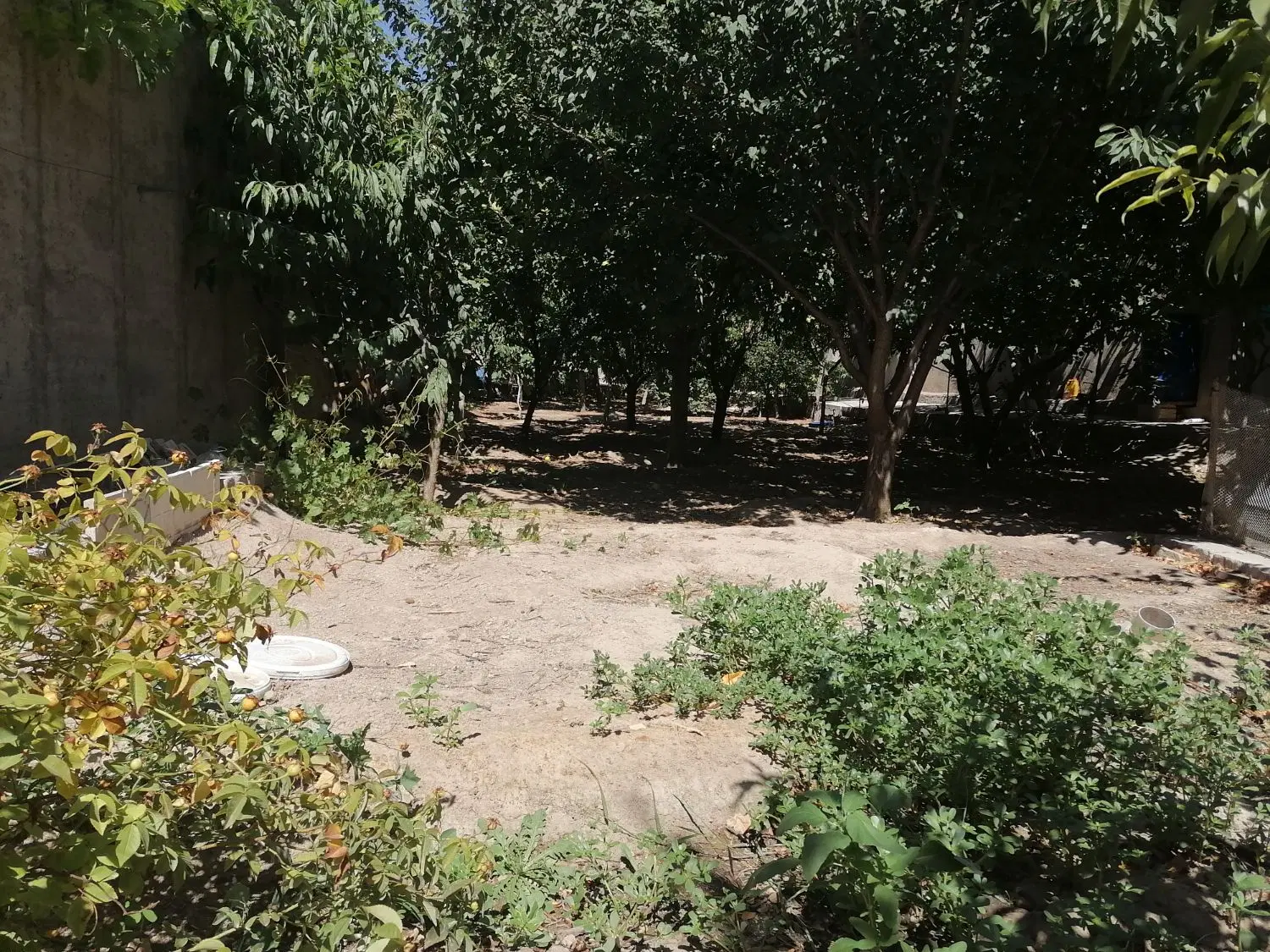 فروش کارگاه در شیخ حسن