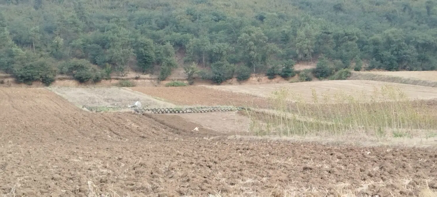 زمین کشاورزی