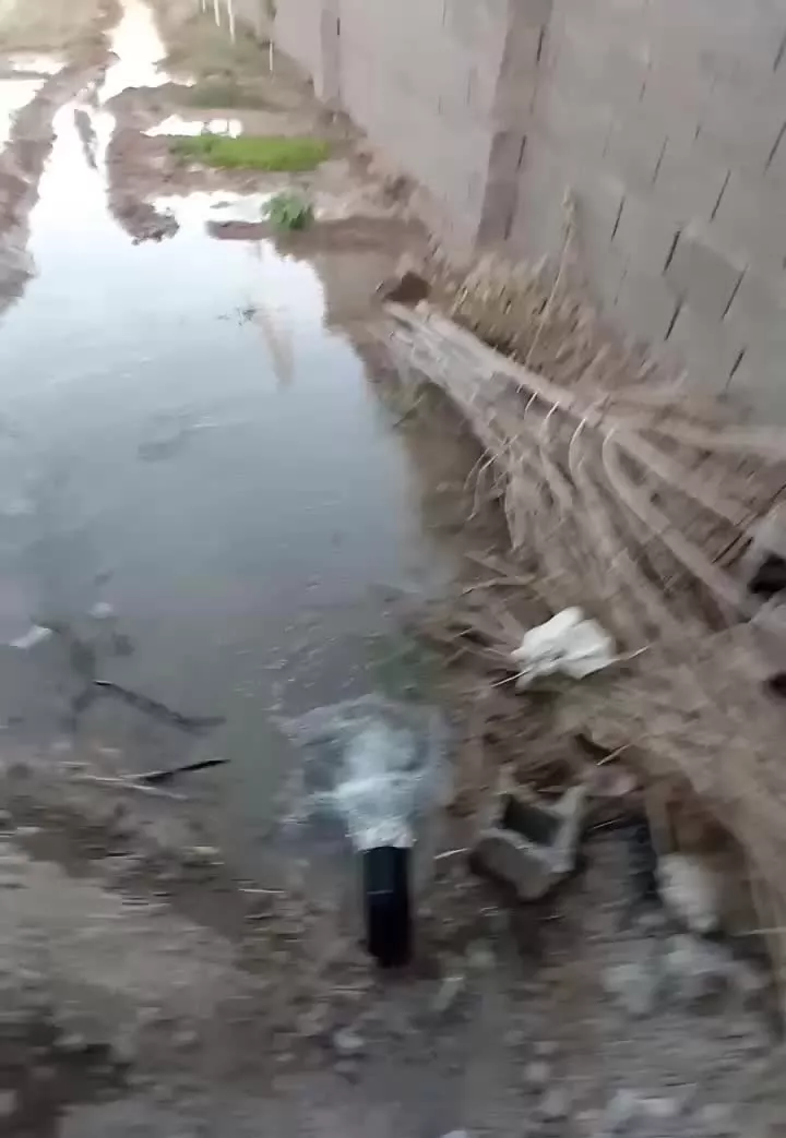 باغچه  ۴۲۰