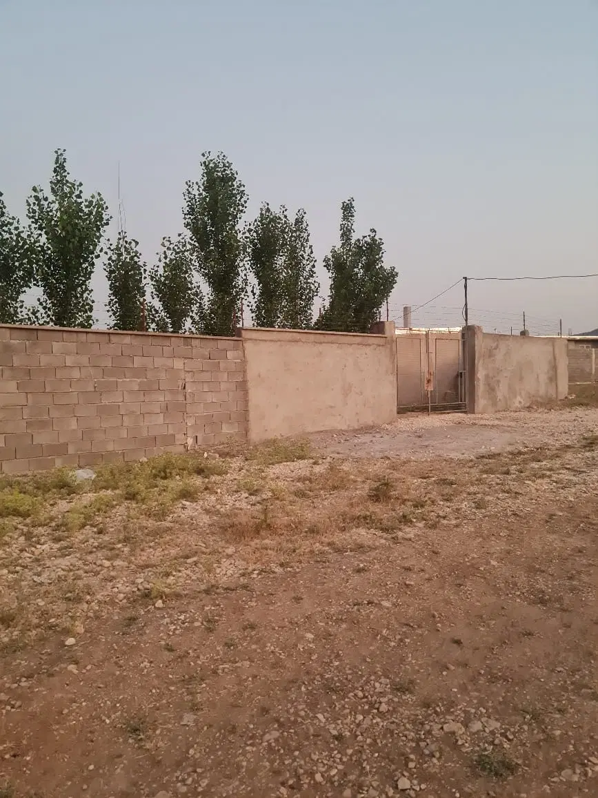 زمین چنارسون یاسوج