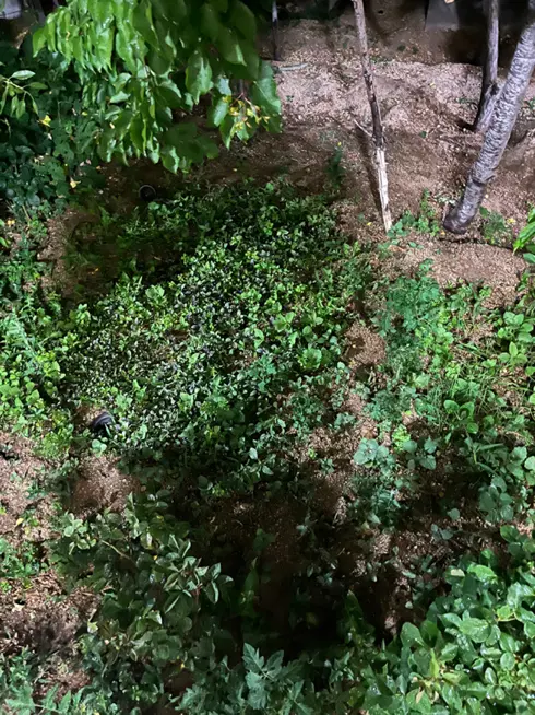 زمین کوچه شرق شهرجلوه