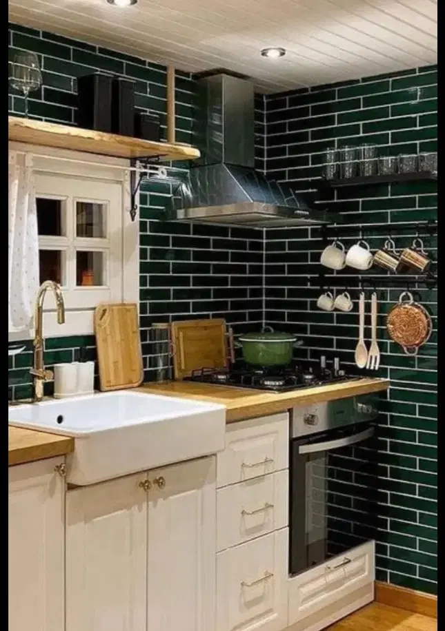 همخونه میخوام