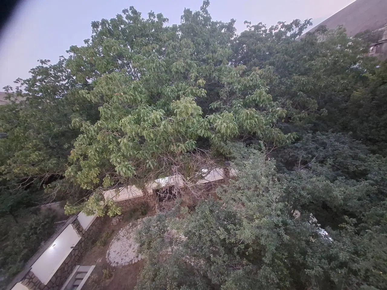 مشارکت در ساخت
