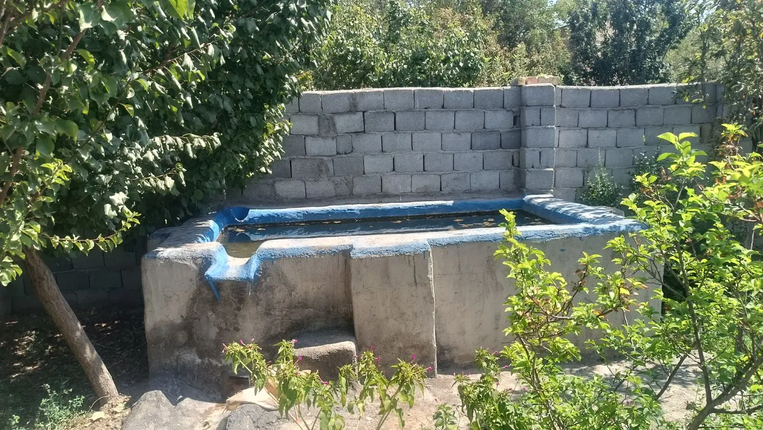 باغ مزرعه