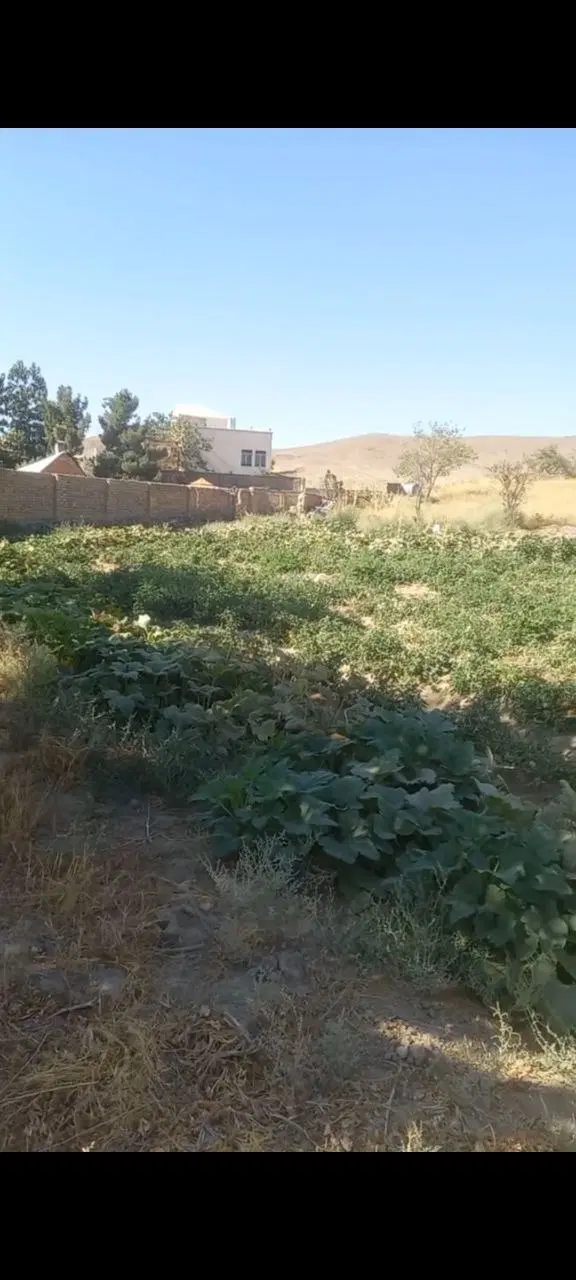 زمین ییلاقی طرقبه