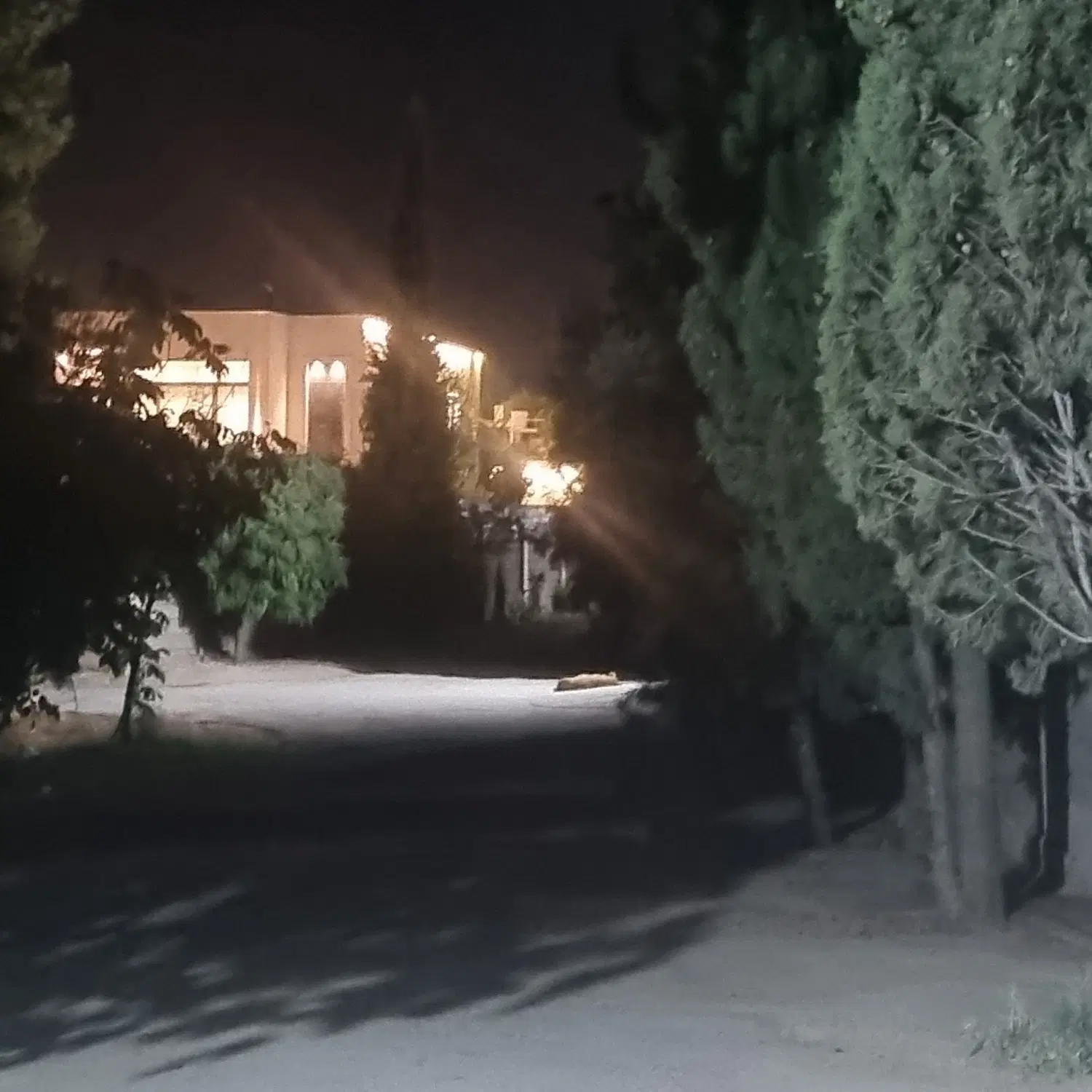 باغشهر قلات کوچه شهیدفرهنگ