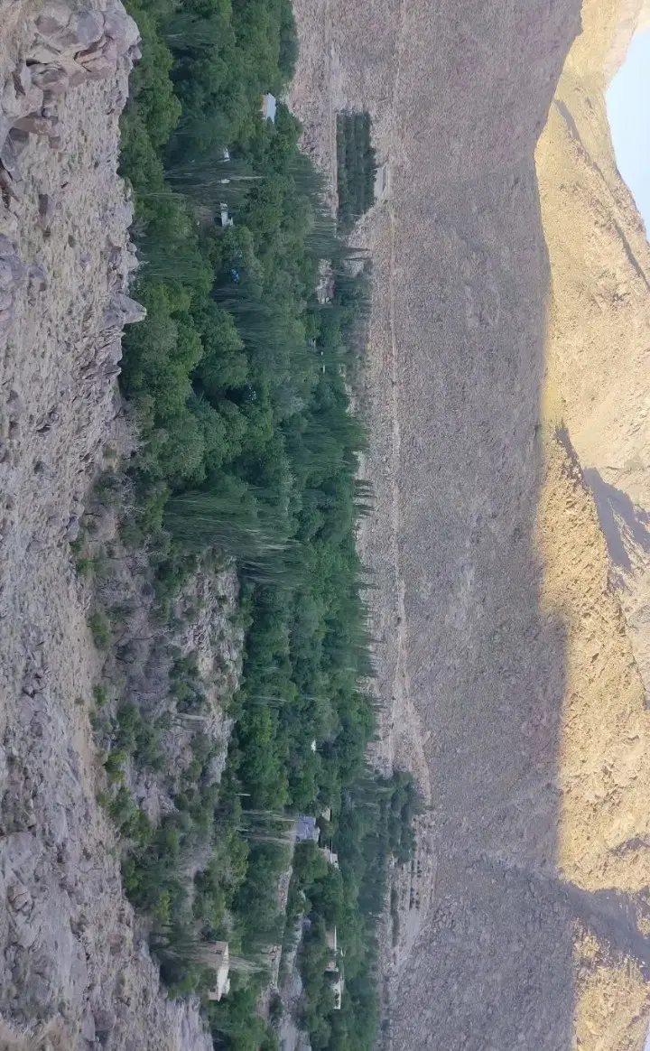 زمین علی آباد پیشکوه