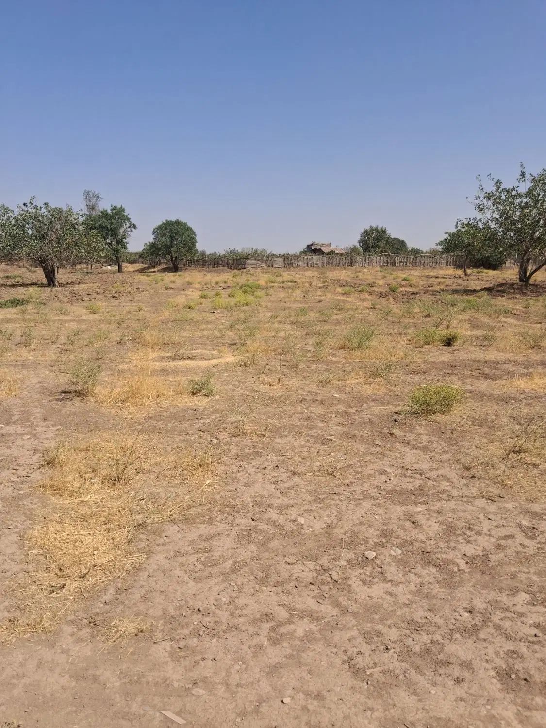 زمین زراعی الوند