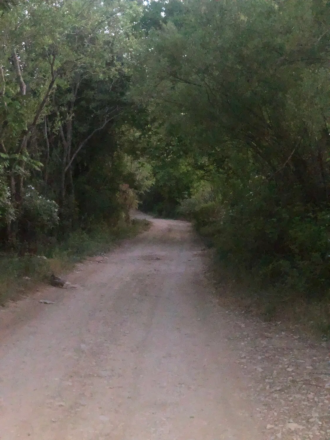 زمین باغ شهری صدرا