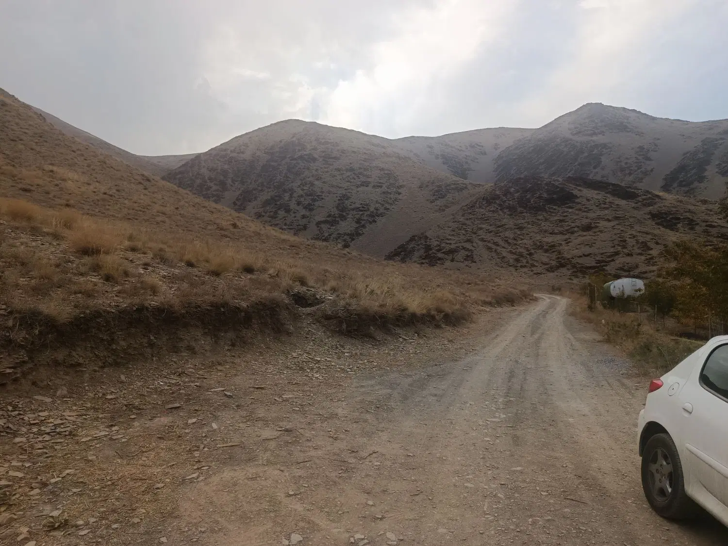 باغ ویلایی
