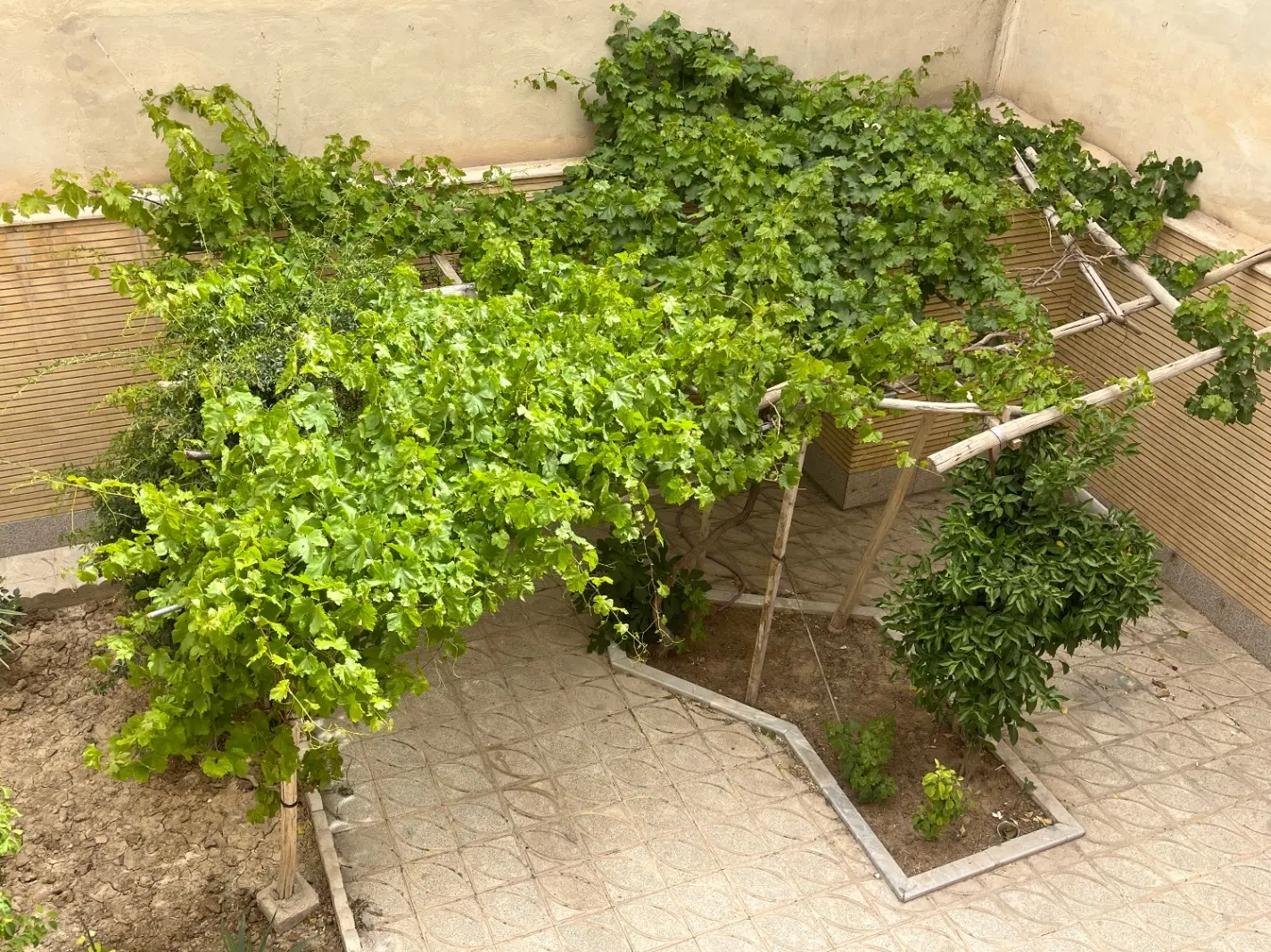 رهن و اجاره تمیز و شیک  بهارستان