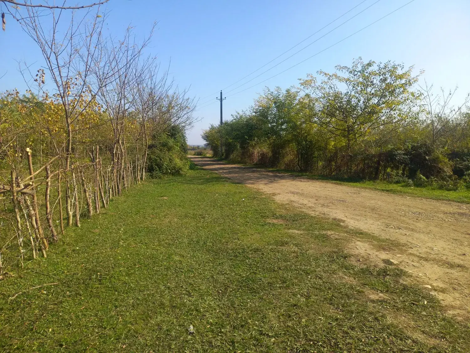 ۴۰۰۰ متر زمین باغی داخل طرح