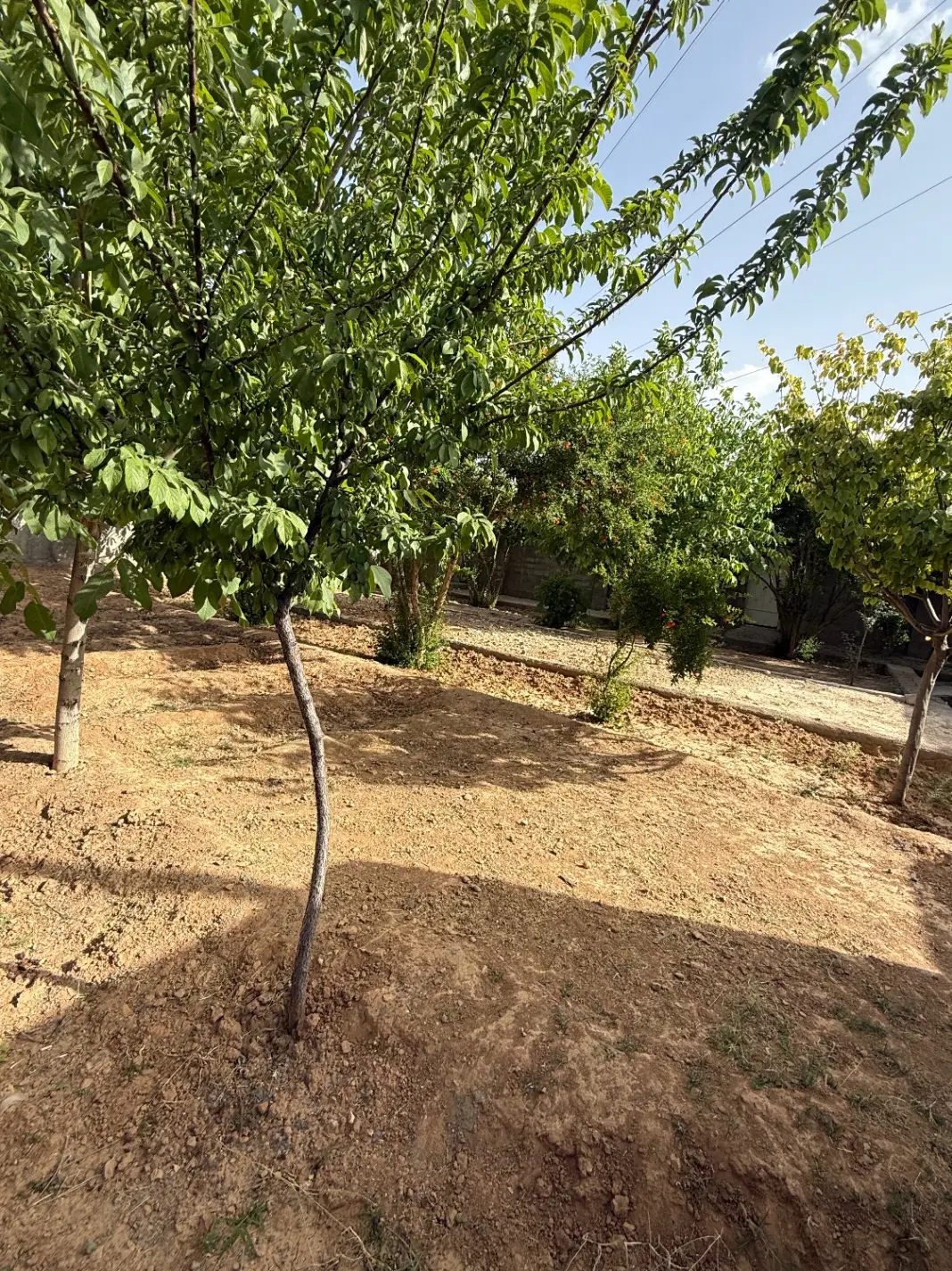 باغچه ۴۰۰ متری دوکوهک ( گلستان شمالی)