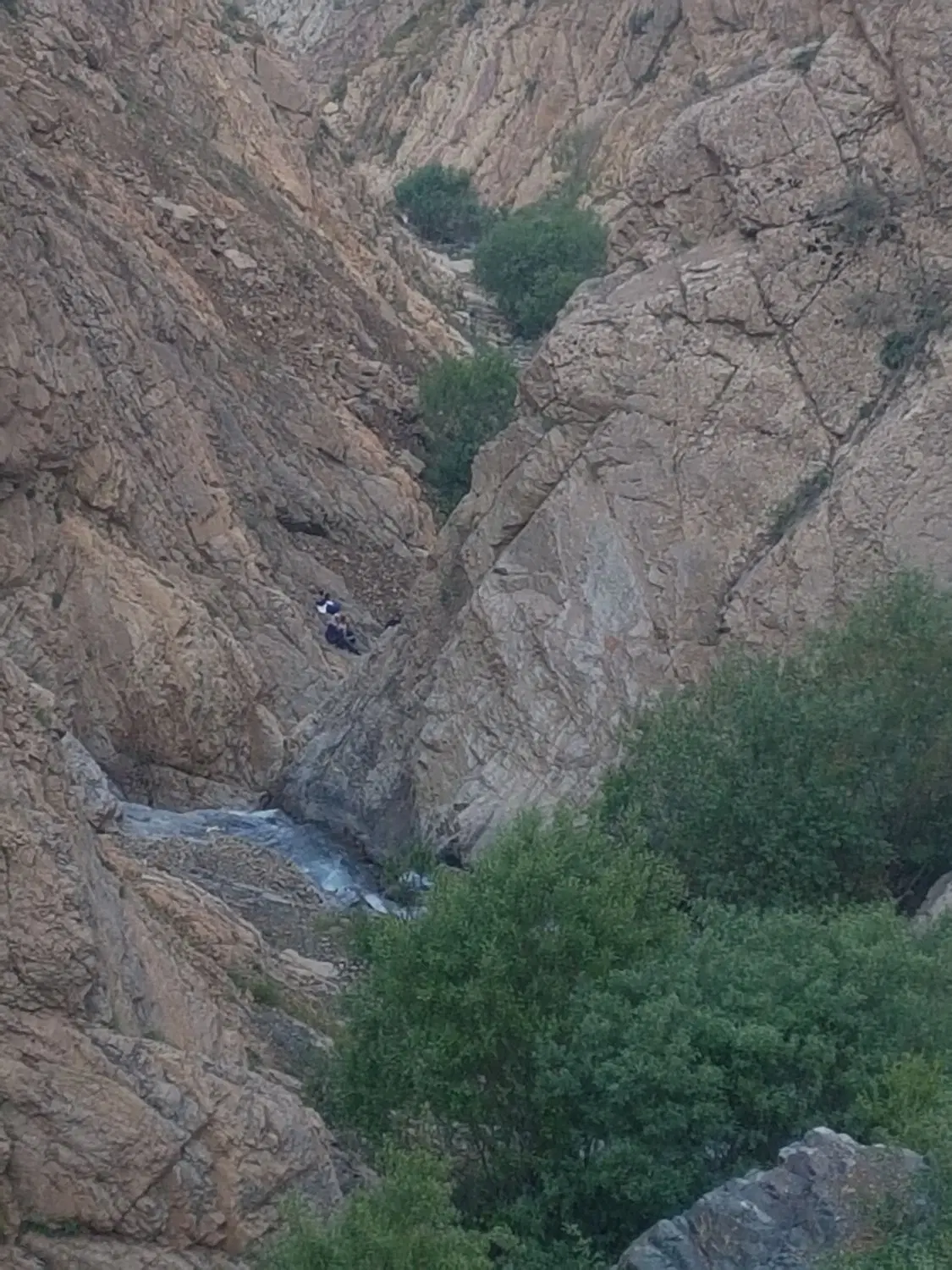 زمین دور دیوار