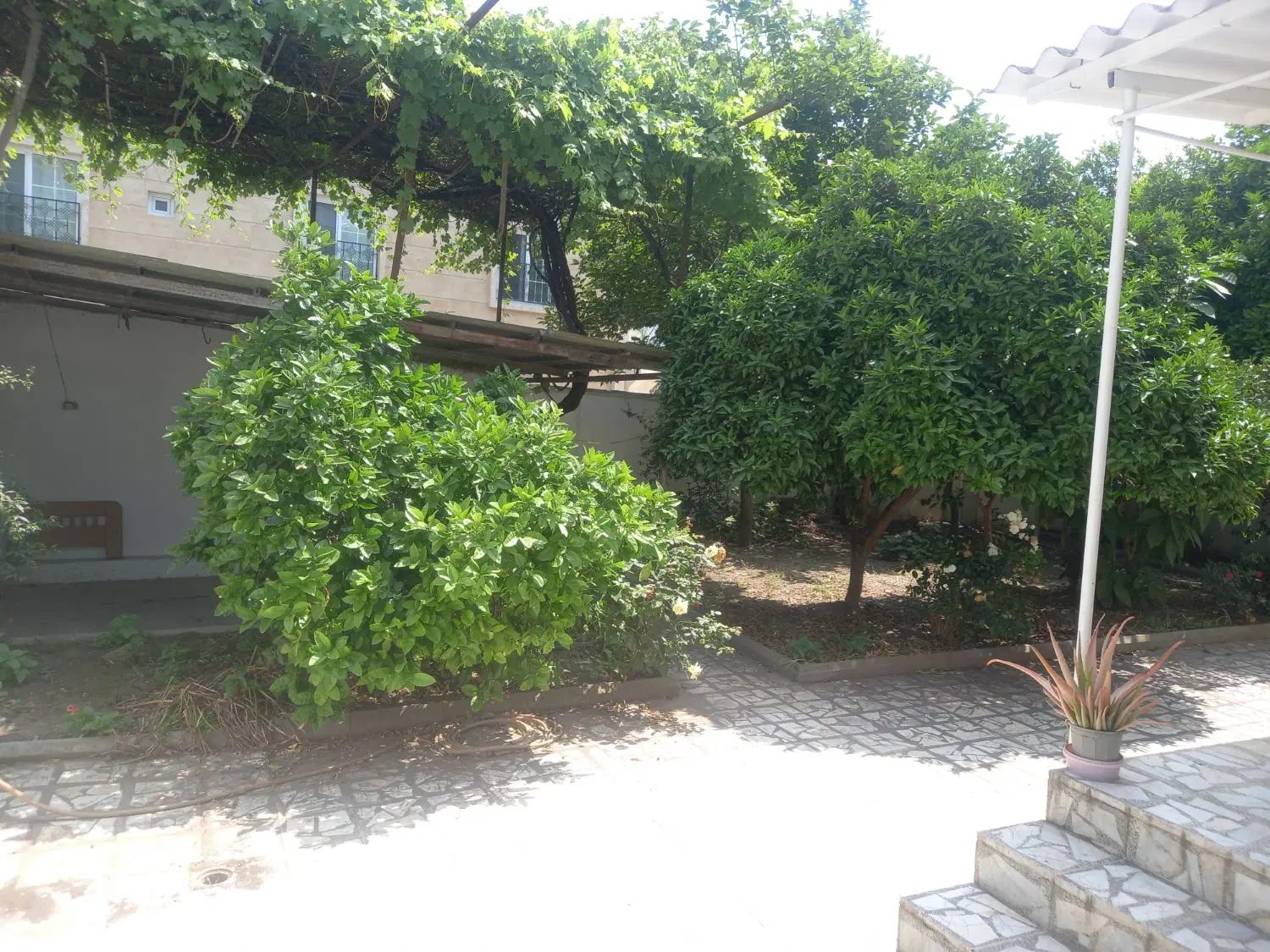ویلایی  در چمران ۲۱