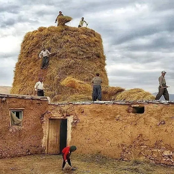 زمین محدوده با شناژ روستای گول صدیقی