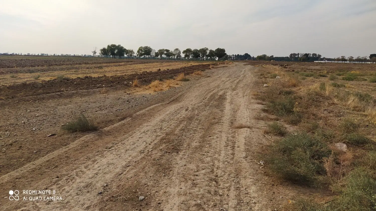 سه هکتار زمین سند تک برگ ،۳ ساعت آب موتور