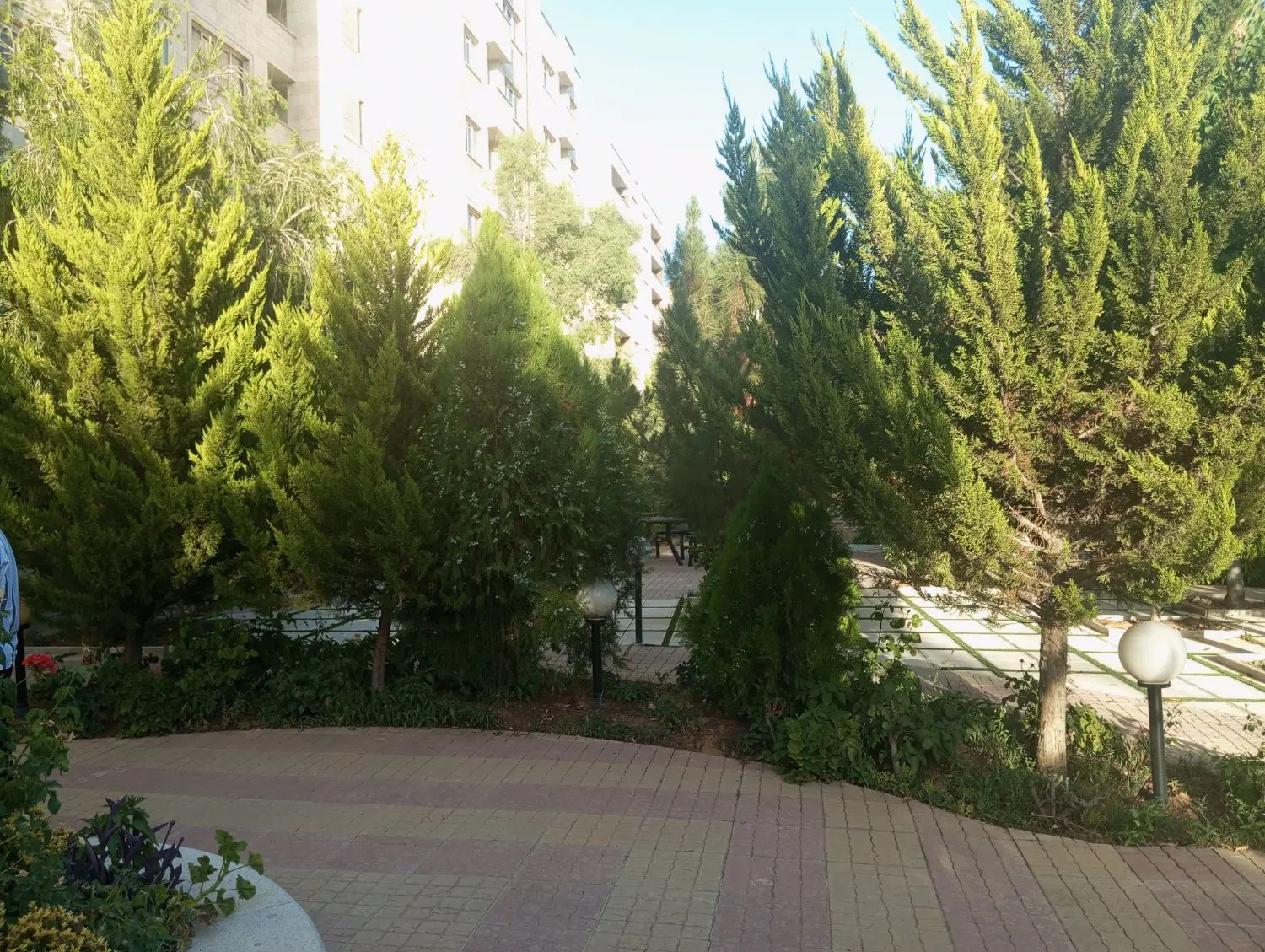 دوخواب قائم بلواردانش