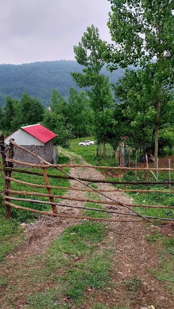 زمین بیجارسر