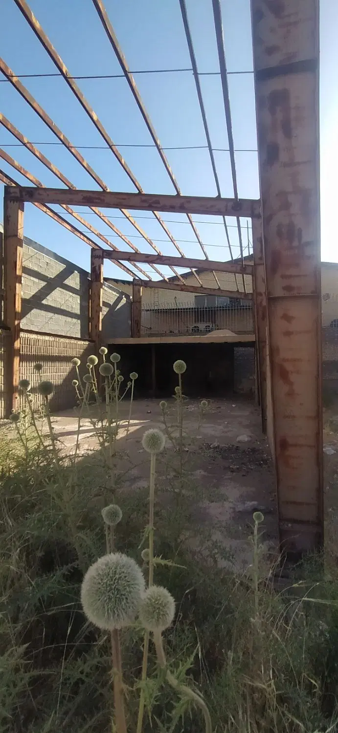 مغازه تجاری روبروی میدان تره بار