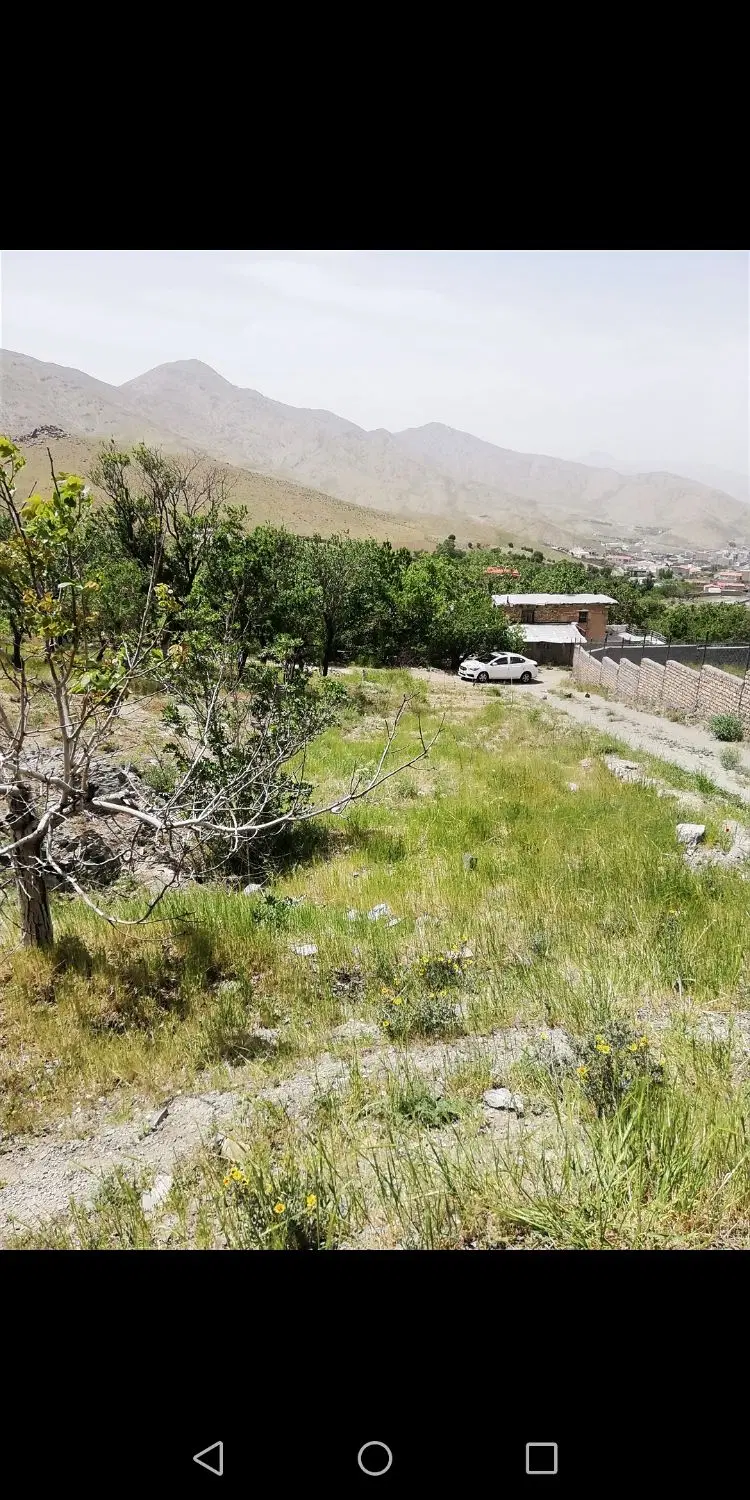 زمین نظم آباد (223متر)