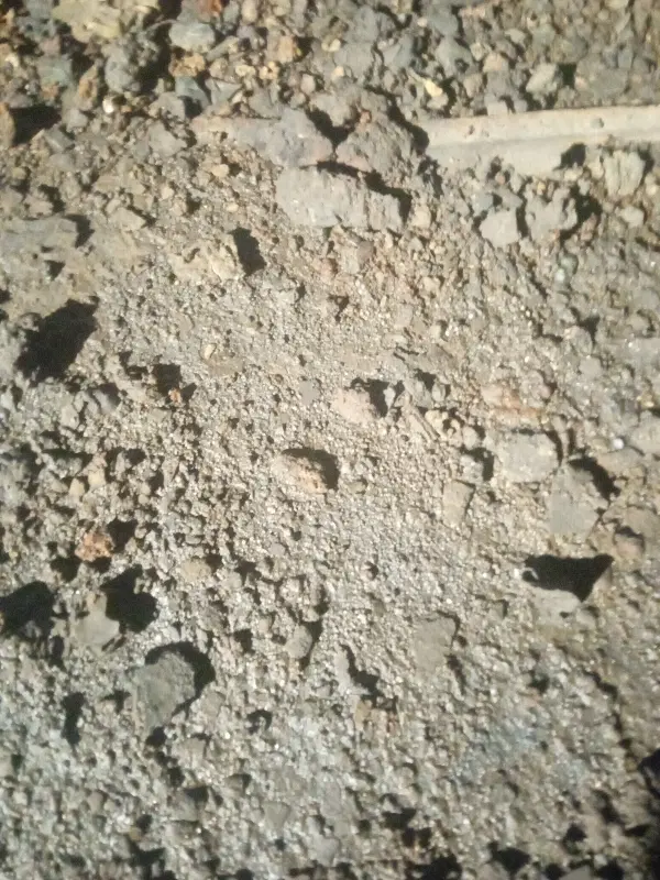 زمین محله دی یک