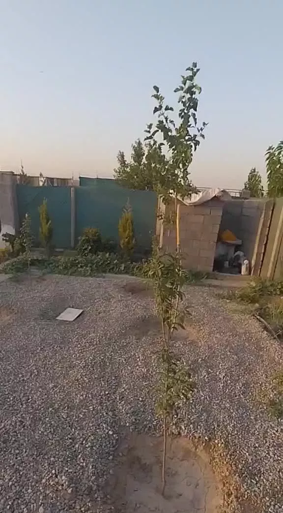 ۶۰۰ متر باغچه شهاب شهر فیروز بهرام