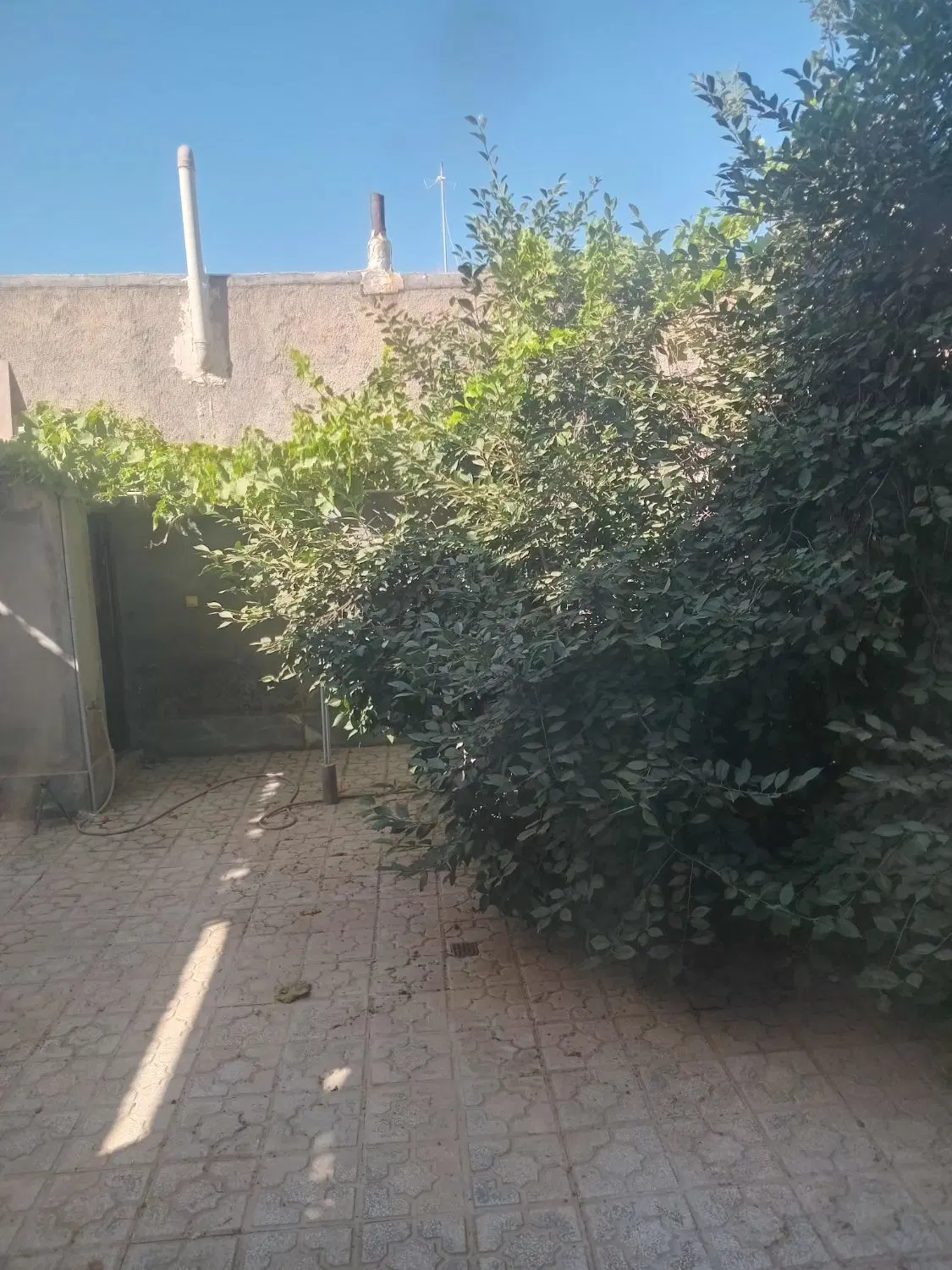 اجاره طبقه همکف