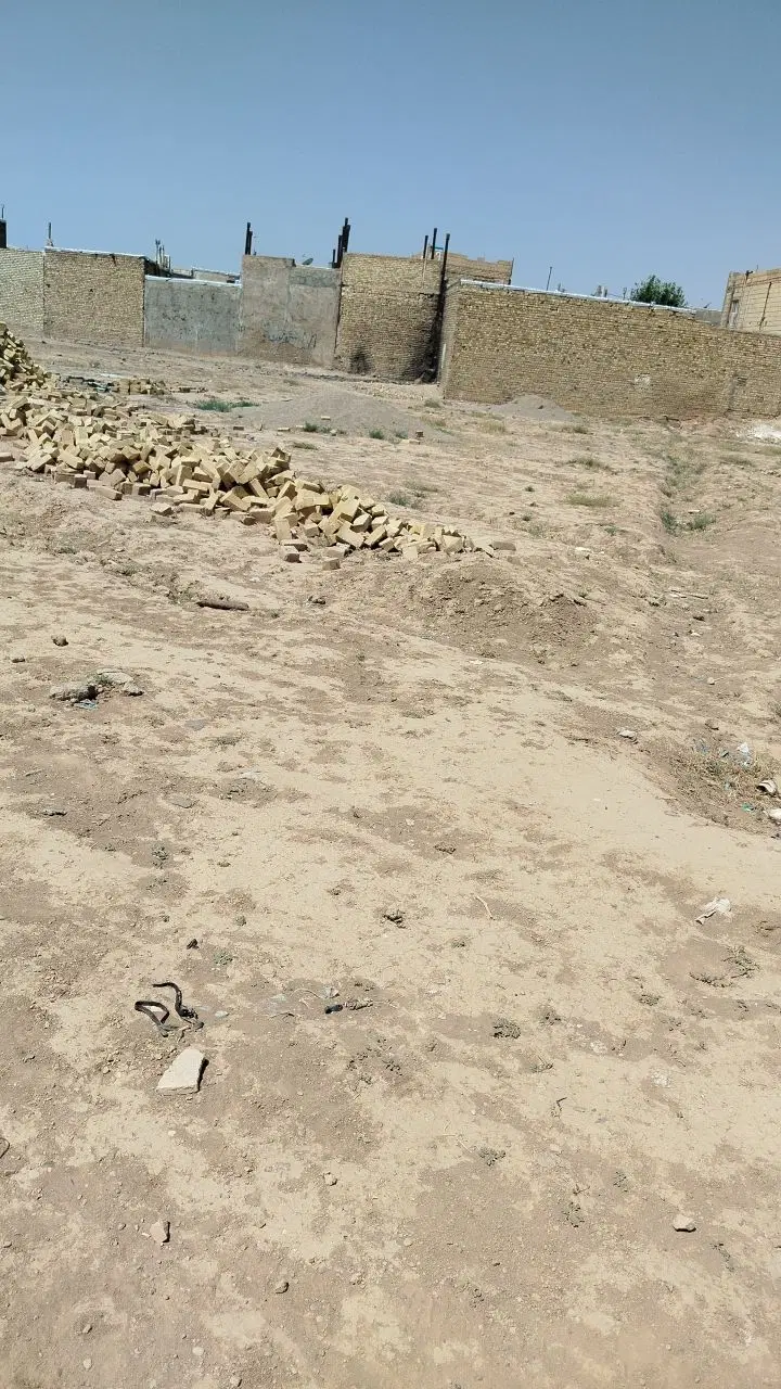 زمین 120 متر سندتکبرگ
