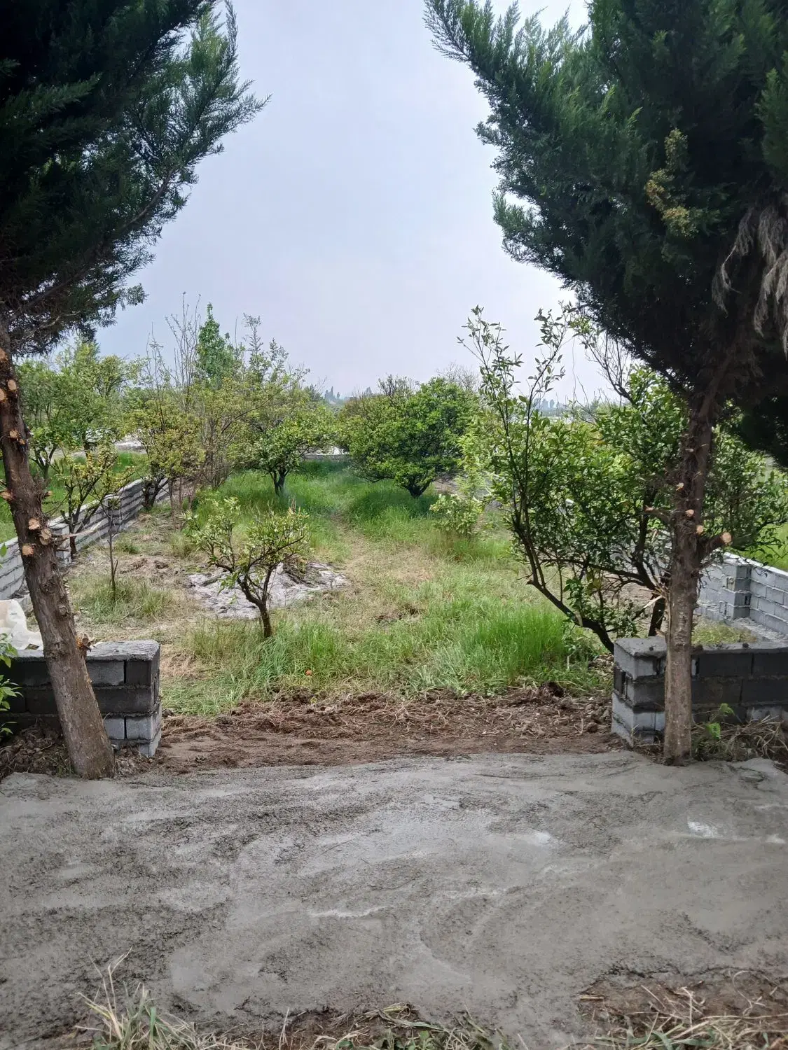فروش ۲۳۰متر زمین دور دیوار شده_