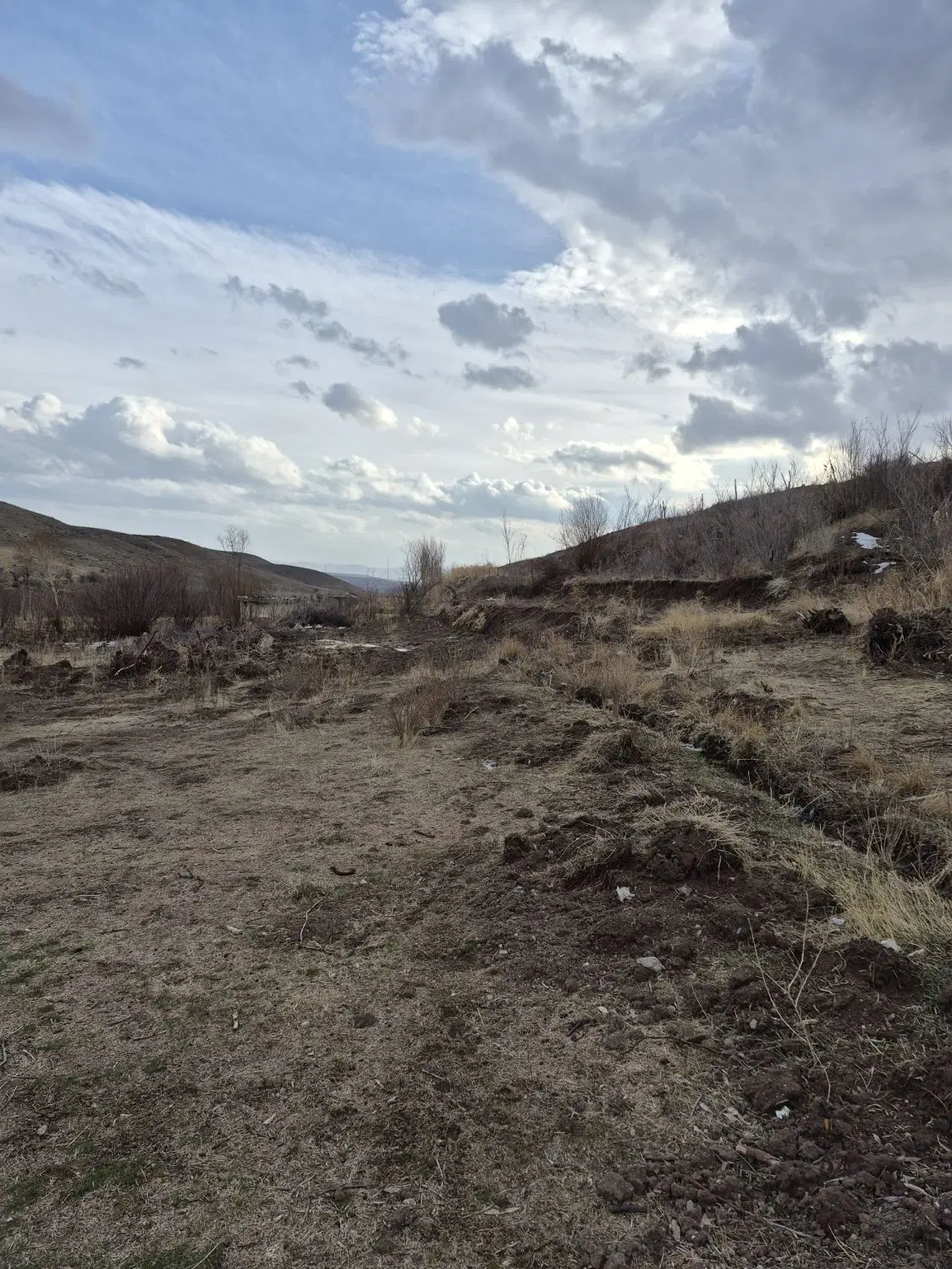 زمین باغی