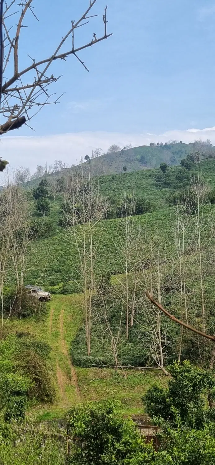 خانه ای قدیمی شمالی