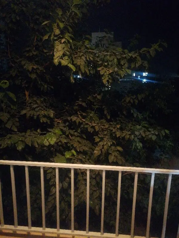 رهن کامل واحد70متری لاله صحرا