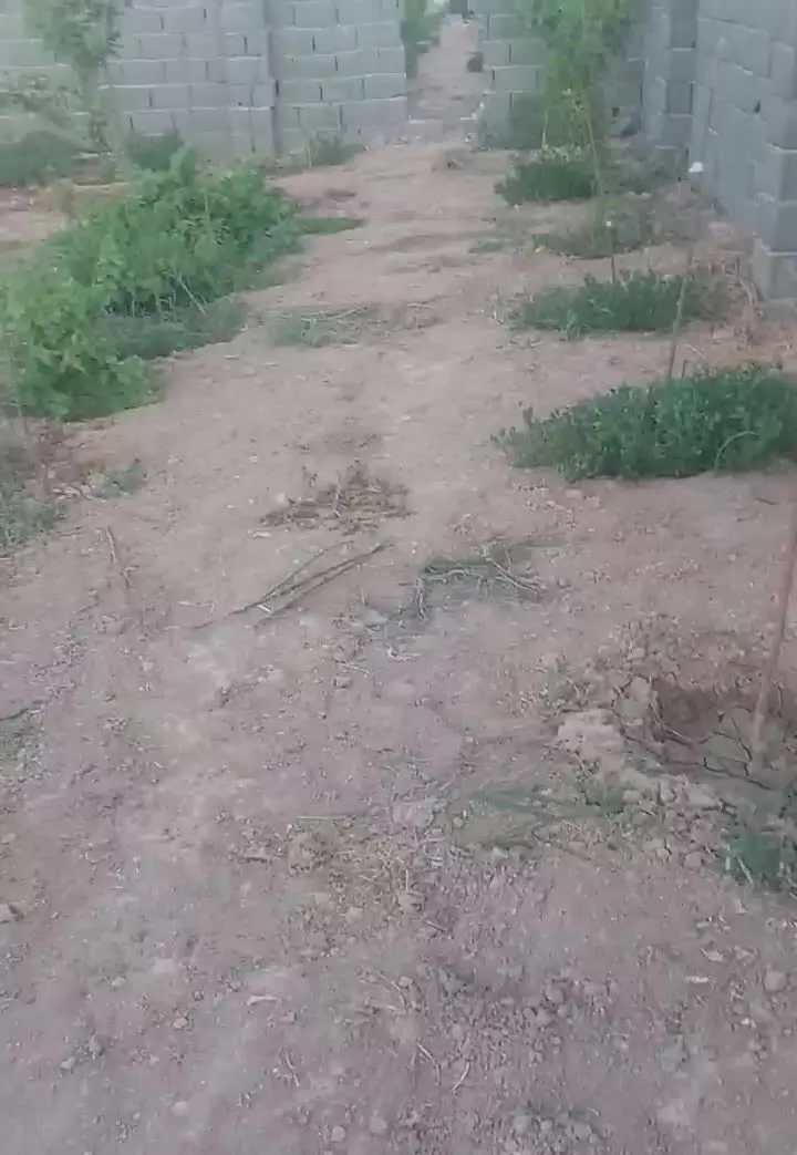 ۶۷۰مترباغچه .سنددار