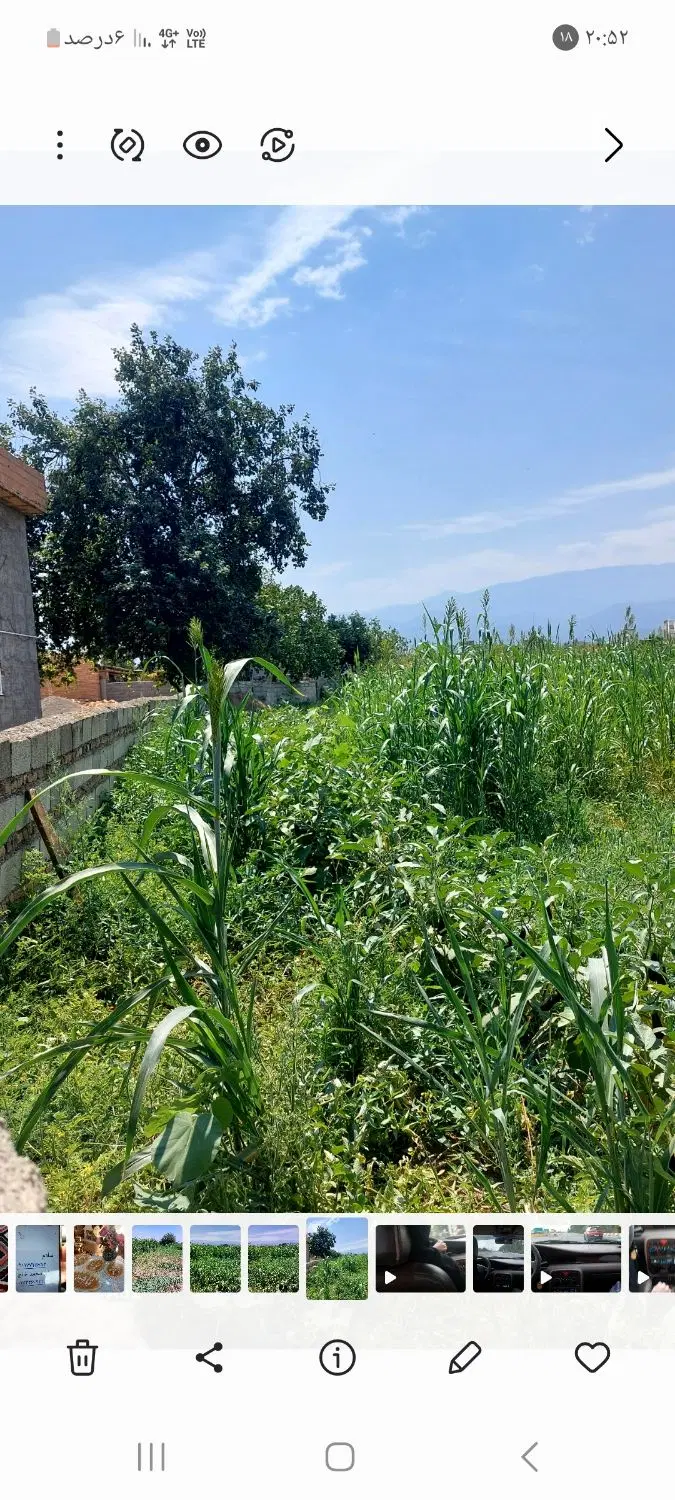 فروش زمین