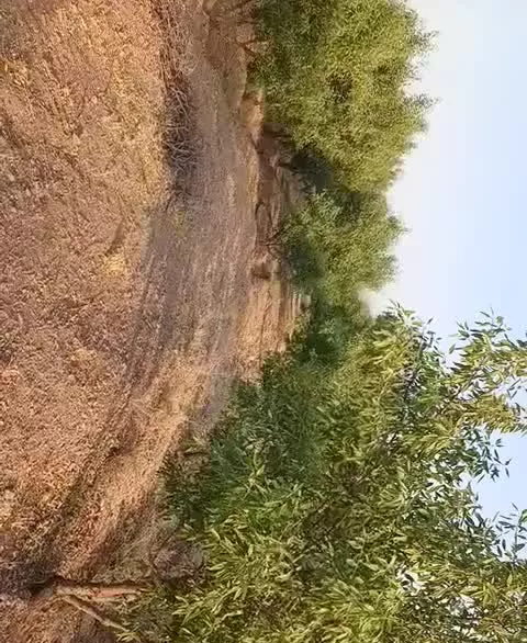 ملک و املاک