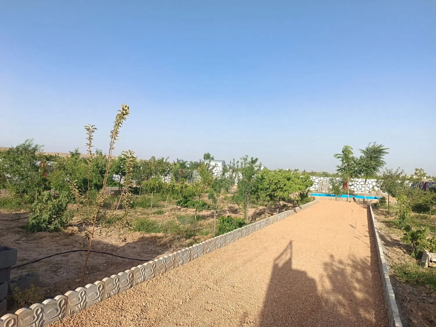 زمین‌ باغ ویلا