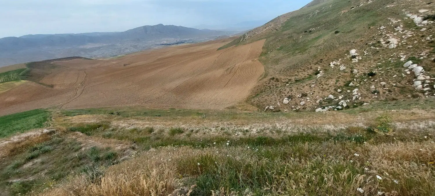 زمین حاشیه میثاق