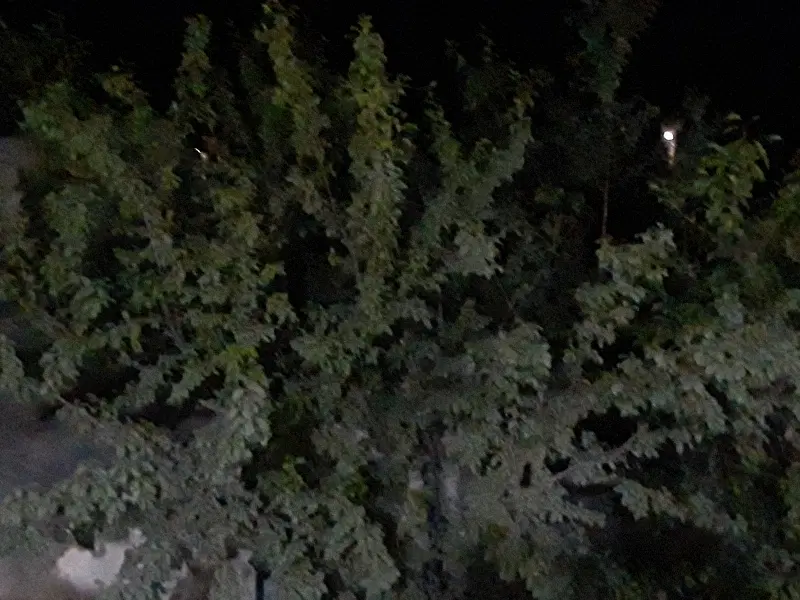 باغ واگذار می شود