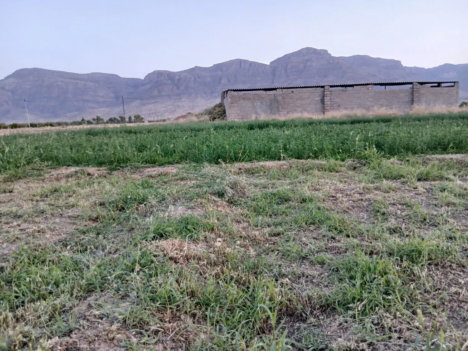 زمین مسکونی ابتدای نیریز بلوارمدرس330متری