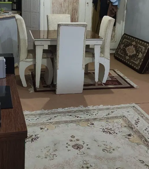 هم‌خونه