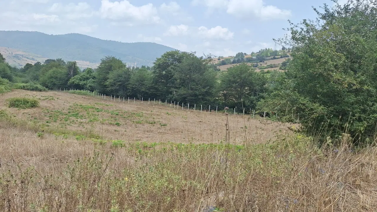 زمین ۸۰۰۰متر کیاسر ساری سند شش دانگ